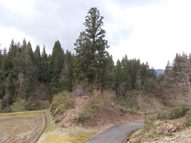 「松苧山」の石碑がある場所の遠景 小千谷市岩沢